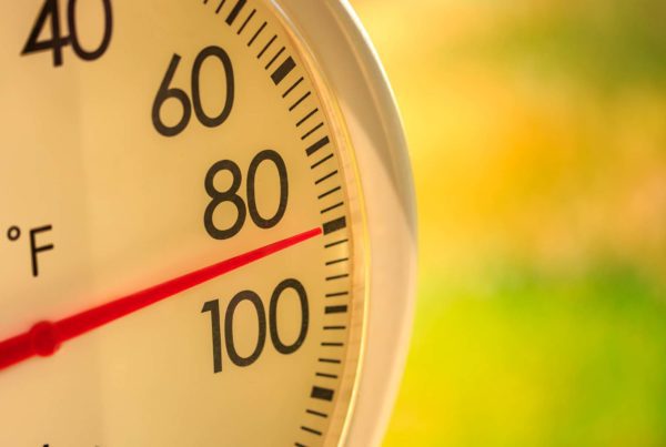 Blog - 10 tricks to beat the heat of summer