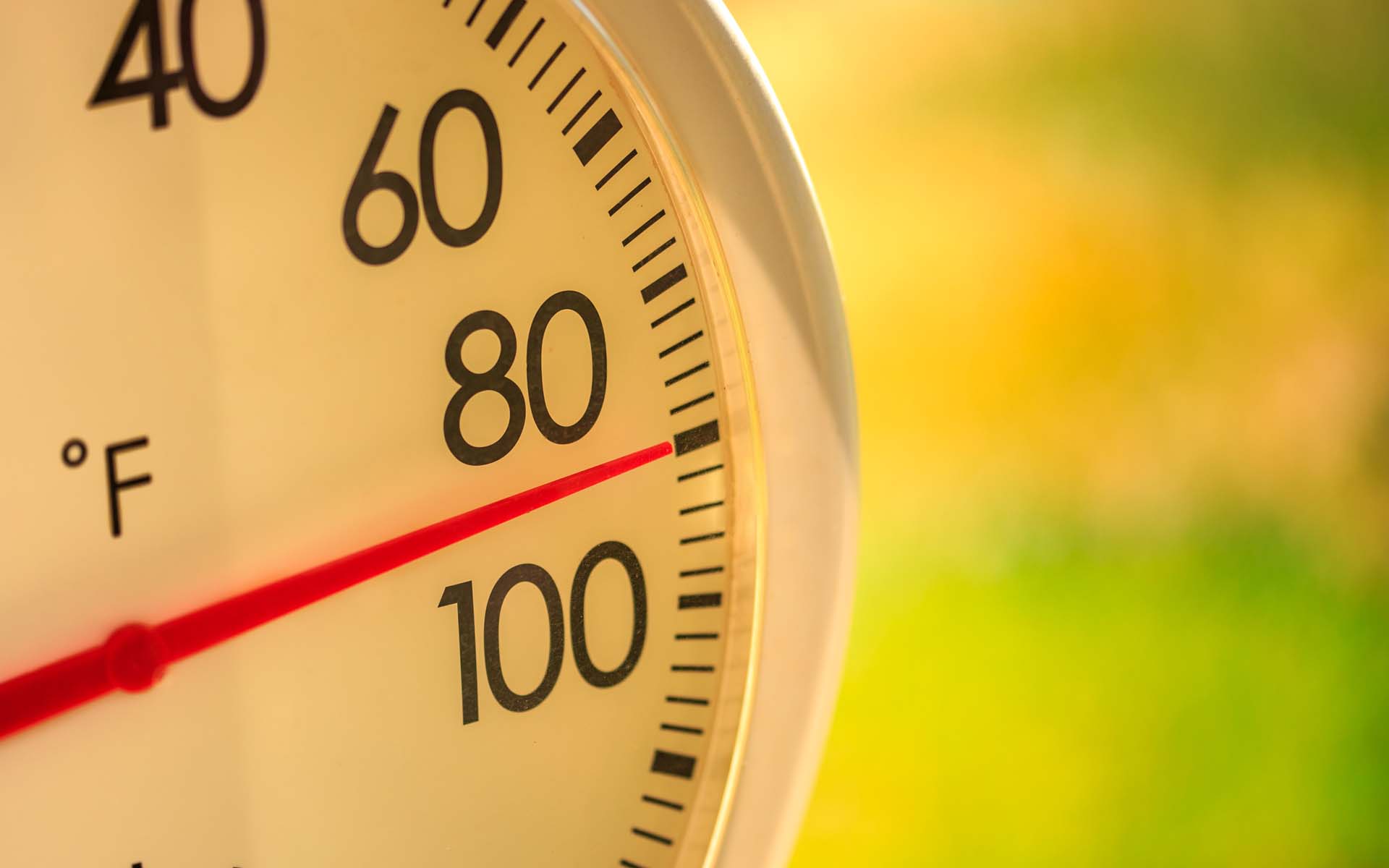Blog - 10 tricks to beat the heat of summer